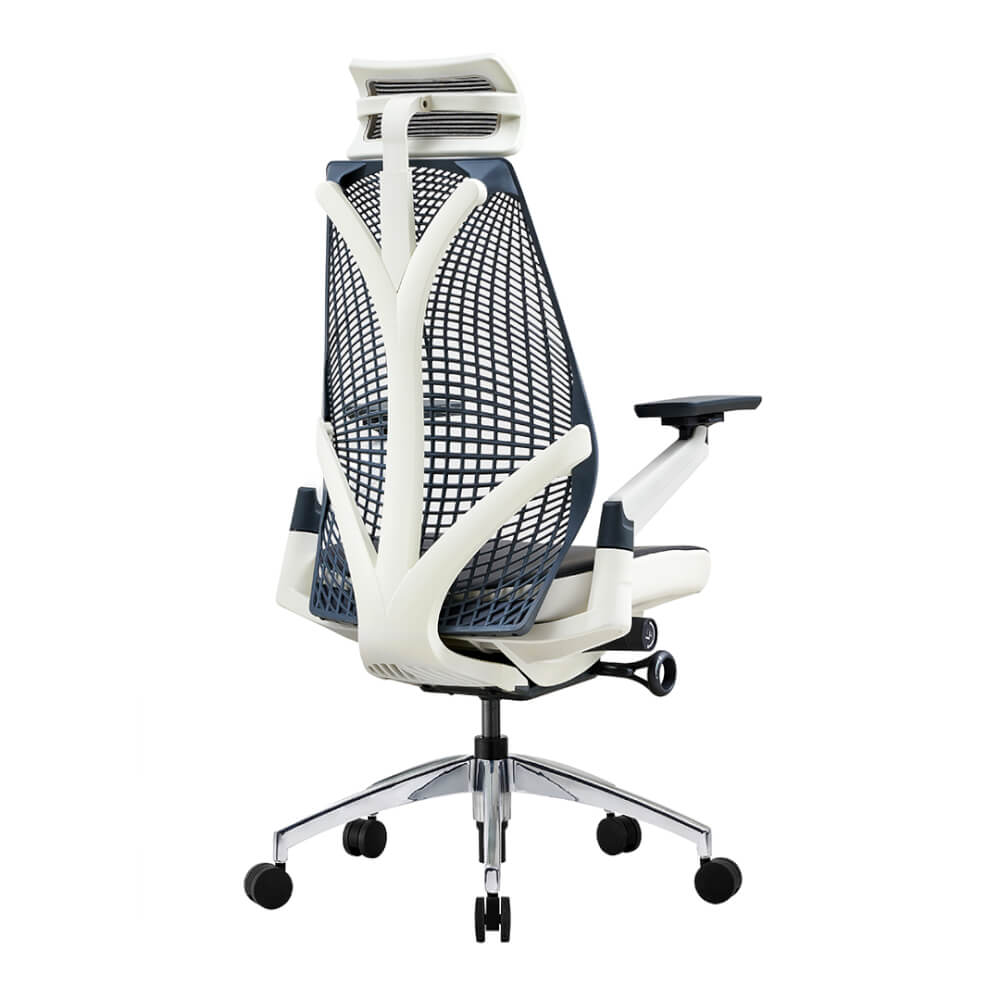 เก้าอี้เพื่อสุขภาพ DF PROCHAIR รุ่น iCare สีขาว